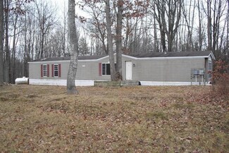 9115 E Ruth Dr, Branch, MI 49402