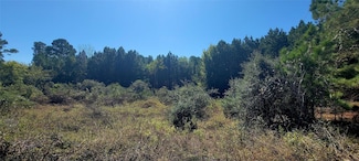 TBD Alele, Bastrop, TX 78602