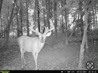 0 County Road 499, Oxford, MS 38655