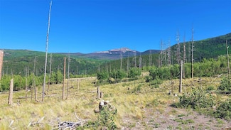 535 Elk Ct, South Fork, CO 81154