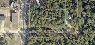 Lots 2 Lane Ct, Defuniak Springs, FL 32433