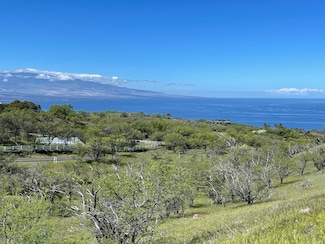 59-106 Olomana Rd, Kamuela, HI 96743