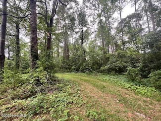 117 Highway Off, Rocky Point, NC 28457