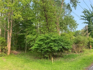 9863 Utica St, Lake Erie Beach, NY 14006