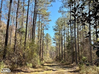 0 County Road 42 Unit 22108765, Peterman, AL 36471