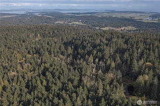 0 Cady Mountain Rd Unit NWM2359002, San Juan Island, WA 98250