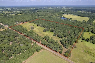TBD County Road 462, Mineola, TX 75773
