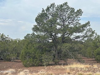 Lot 2 Stanford Dr Unit 2, Vernon, AZ 85940