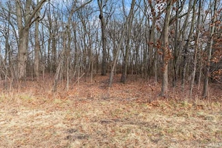 Lot 2 E 850 S, Prairie Township, IN 47923