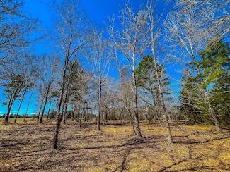 Tract 1 County Road 1713, Jacksonville, TX 75766