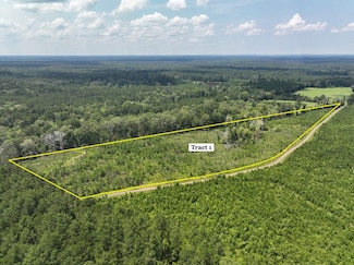 0 Coussons Dr, Hemphill, TX 75948