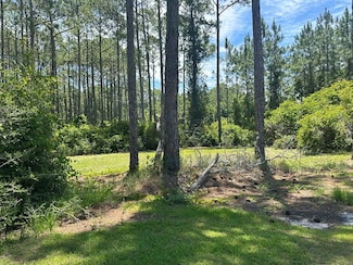 102 Royal Tern Way, Carrabelle, FL 32322