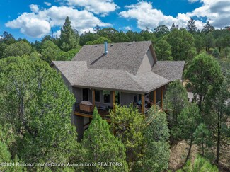 162 Neill Rd, Alto, NM 88312
