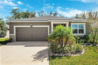 13001 Satin Lily Dr, Riverview, FL 33579