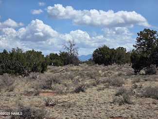 Parcel # 50106027 Wyandotte Rd, Williams, AZ 86046
