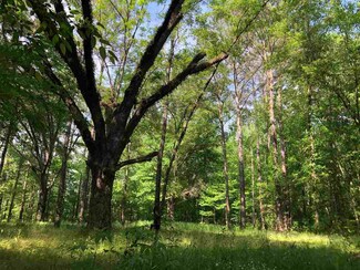 1410 River Bend Rd Unit 1, Lena, MS 39094
