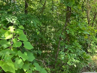 Lots 6 & 7 Hillview Addition, Mammoth Spring, AR 72554
