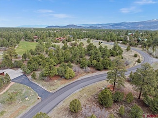 935 Marmot Dr, Loghill Village, CO 81432