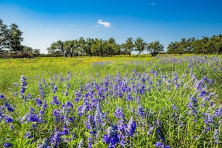 0 Farm To Market 479 Unit 21335965, Harper, TX 78631