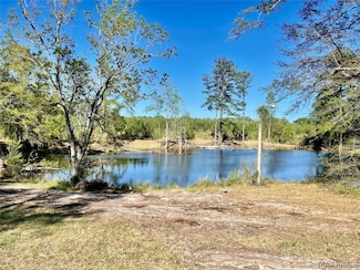25238 Highway 87, Elba, AL 36323