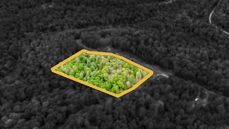 120 Laurel Loop, Bruceton Mills, WV 26525