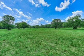 Tract D Sharp View Rd, Montgomery, TX 77356