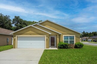7101 J T Smith Ln, Mount Dora, FL 32757