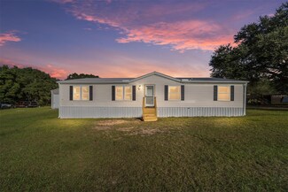 17282 SE 55th Place, Ocklawaha, FL 32179