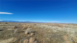 0 Avenue A14 & 85th St W Unit SR24004947, Antelope Acres, CA 93536