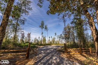 0 Whitehouse Fork Rd Unit 25514040, Bay Minette, AL 36507