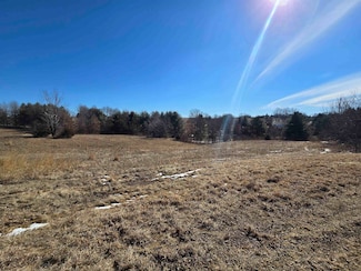 10A108 Heron Dr, Apple Canyon Lake, IL 61001