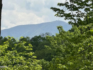 Lot 80 Whetstone Rd, Sevierville, TN 37862