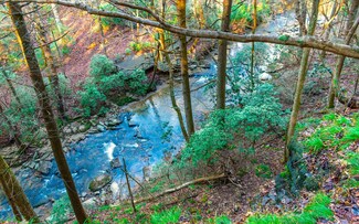 LT36 Mountain Creek Hollow Dr, Talking Rock, GA 30175