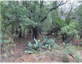 0 NE 8th Ave, Mineral Wells, TX 76067