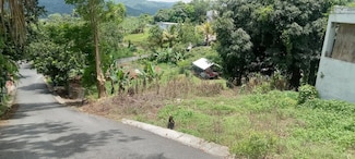 Carr. 435 Comunidad Perchas II Calle Zafiro, San Sebastian, PR 00685