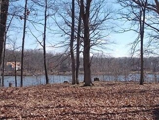 77 Beyers Lake Estate, Pana, IL 62557