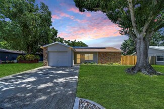 11505 Blackbark Dr, Riverview, FL 33579