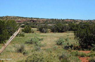 0 County Road 8439 Unit Antelope Ridge Lot 3, Concho Valley, AZ 85924