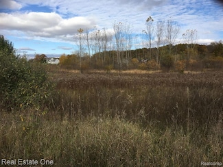 14 Single Tree Cir, Dryden Township, MI 48428