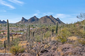 4896 S Cactus Wren Ave, Tucson, AZ 85746