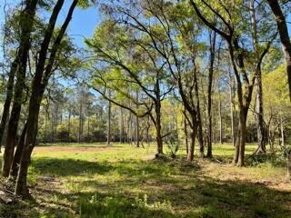 0 Mossey Grove Ln Unit 21009978, Awendaw, SC 29429