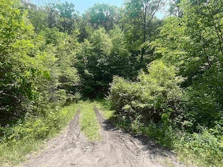 2699 Black Pond Rd, Hubbardton, VT 05743