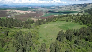 0 Tbd Slickpoo Rd, Culdesac, ID 83524