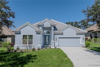 1343 W Skyview Landings Dr, Hernando, FL 34442