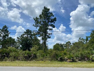 0 Somerset St Unit O6057106, Orlando, FL 32833