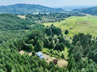 53 Ingalls Rd, Skamokawa, WA 98647