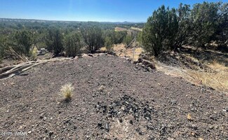 1787 Bemus Place, Show Low, AZ 85901
