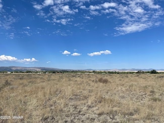 0 Tumbling T Dr, Springerville, AZ 85938