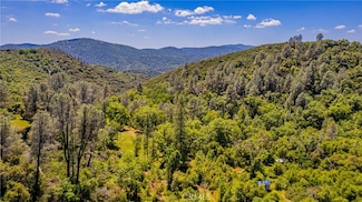 4743 Buffalo Gulch Rd, Midpines, CA 95345