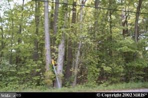 15004 Brandywine Rd, Brandywine, MD 20613